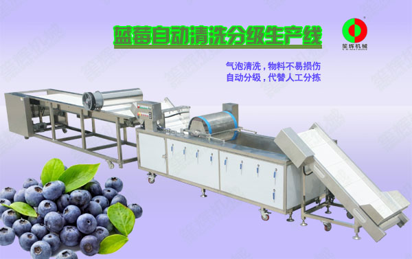 吴忠蓝莓/蔬果全自动清洗分级生产线